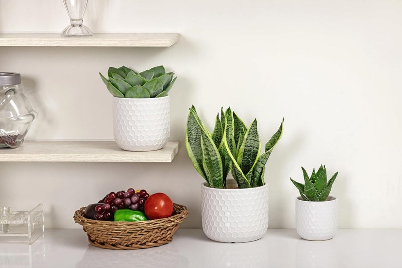 Docrin Store Plant Pots Indoor with Drainage: 6.4+5.3+4 Inch Ceramic Flower Pots for Plants - Set of 3 Modern Decorative Planters for House/Office/Gift - White Honeycomb - Image 4